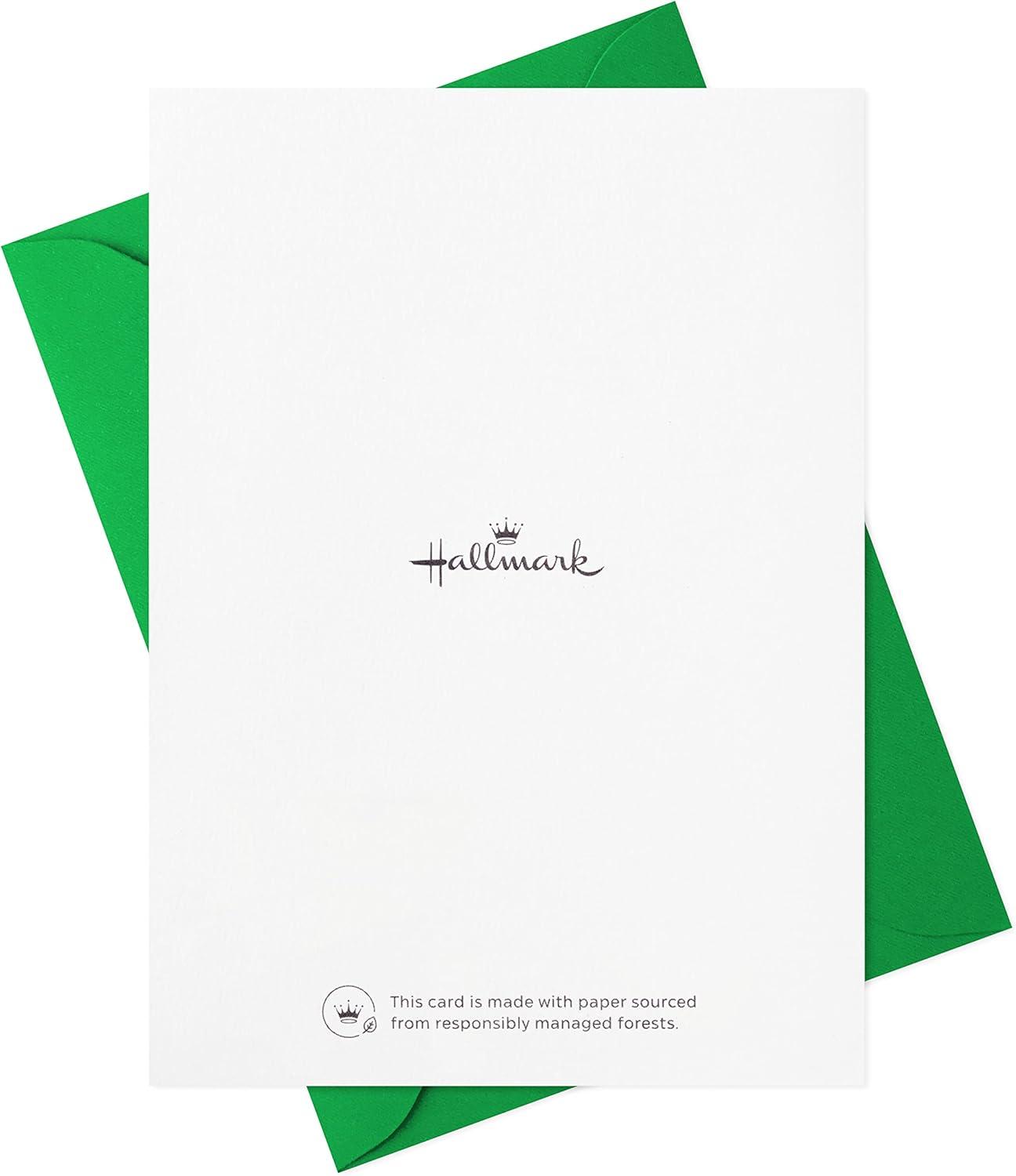 imageHallmark Halloween Cards Assortment Pet Puns 48 Cards with EnvelopesSt Patricks Day Punny Pets Card Assortment