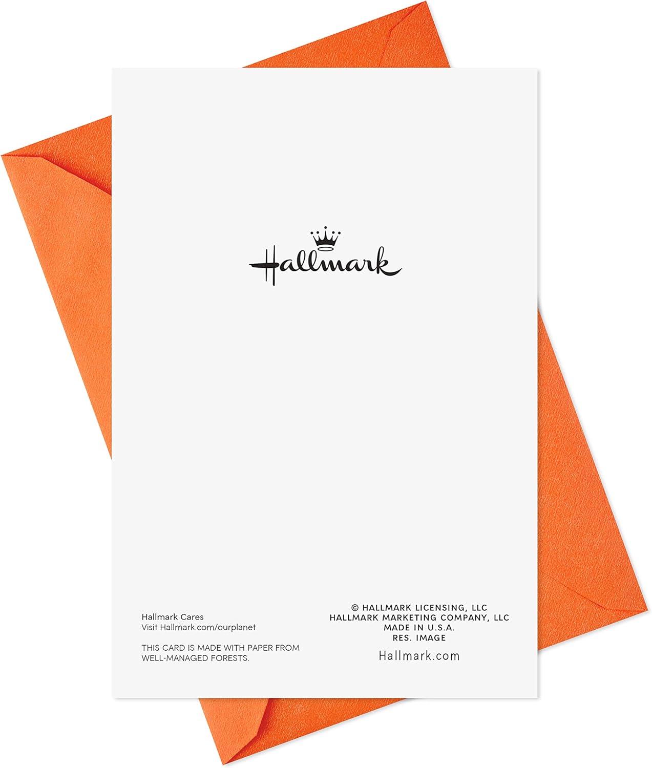 imageHallmark Halloween Cards Assortment Wicked Cat and Pumpkins 8 Cards with EnvelopesAutumn Pumpkins and Leaves