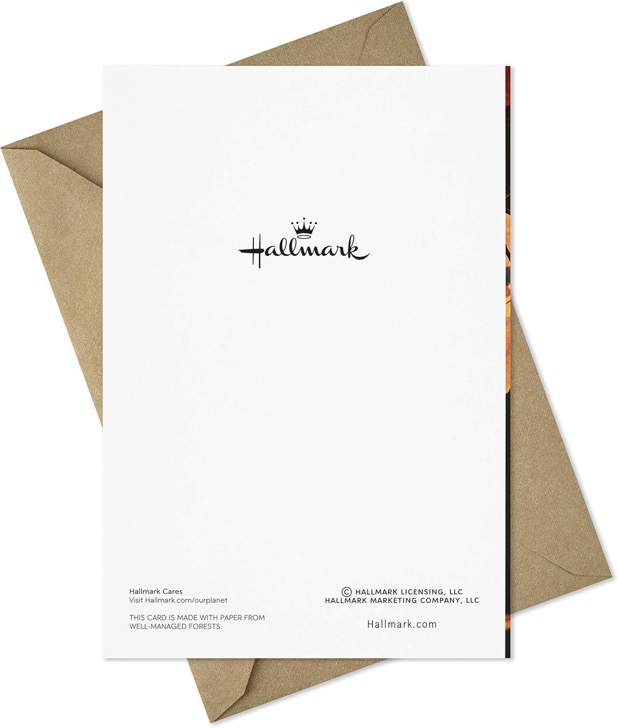 imageHallmark Halloween Cards Assortment Wicked Cat and Pumpkins 8 Cards with EnvelopesClose in Thought Heart