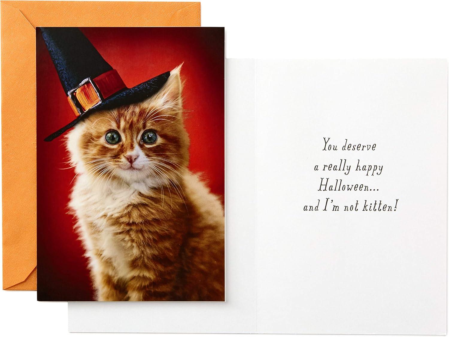imageHallmark Halloween Cards Assortment Wicked Cat and Pumpkins 8 Cards with EnvelopesWicked Cat and Pumpkins