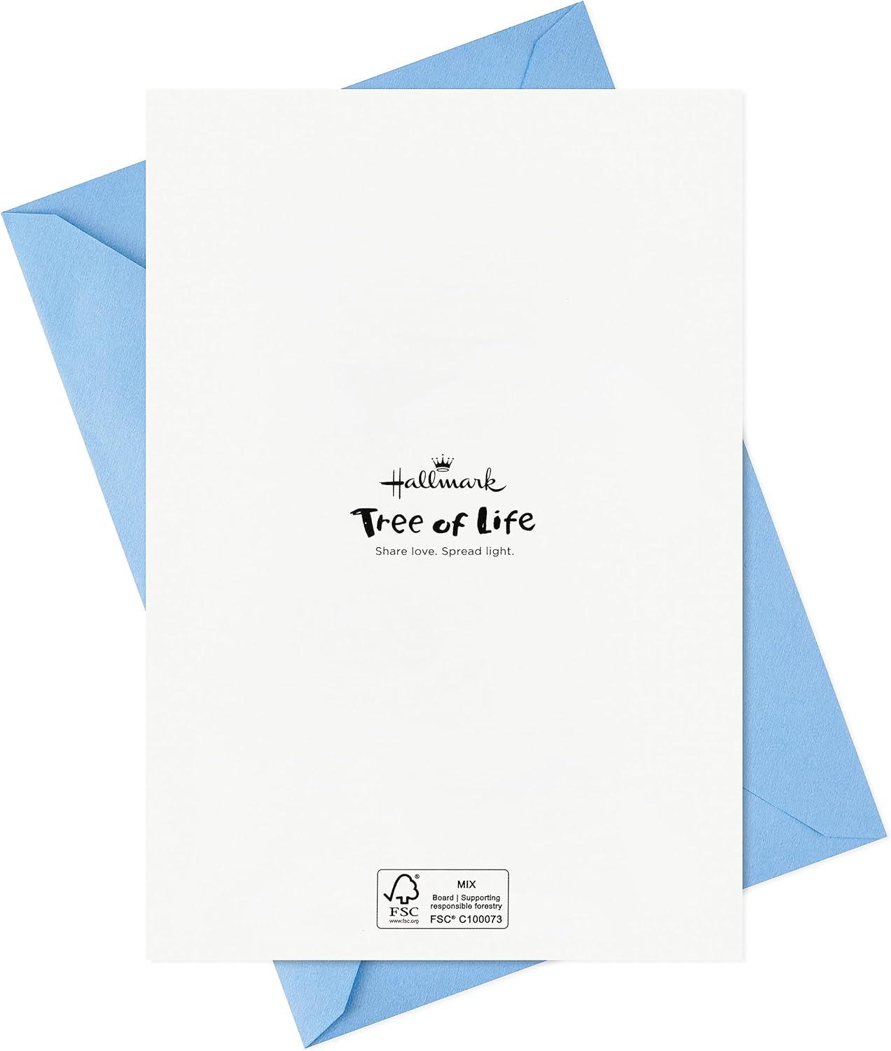 imageHallmark Tree of Life Hanukkah Boxed Cards 16 Cards and Envelopes Modern MenorahModern Menorah Hanukkah Cards
