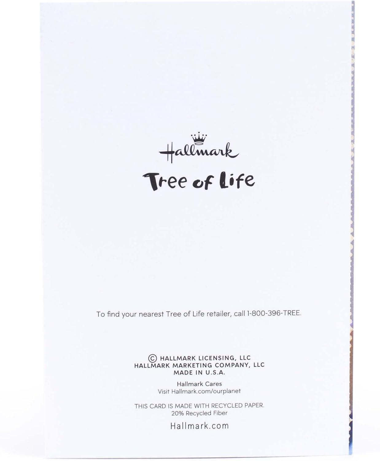 imageHallmark Tree of Life Hanukkah Cards Latkes and Lights 6 Cards with EnvelopesGlow of Hanukkah