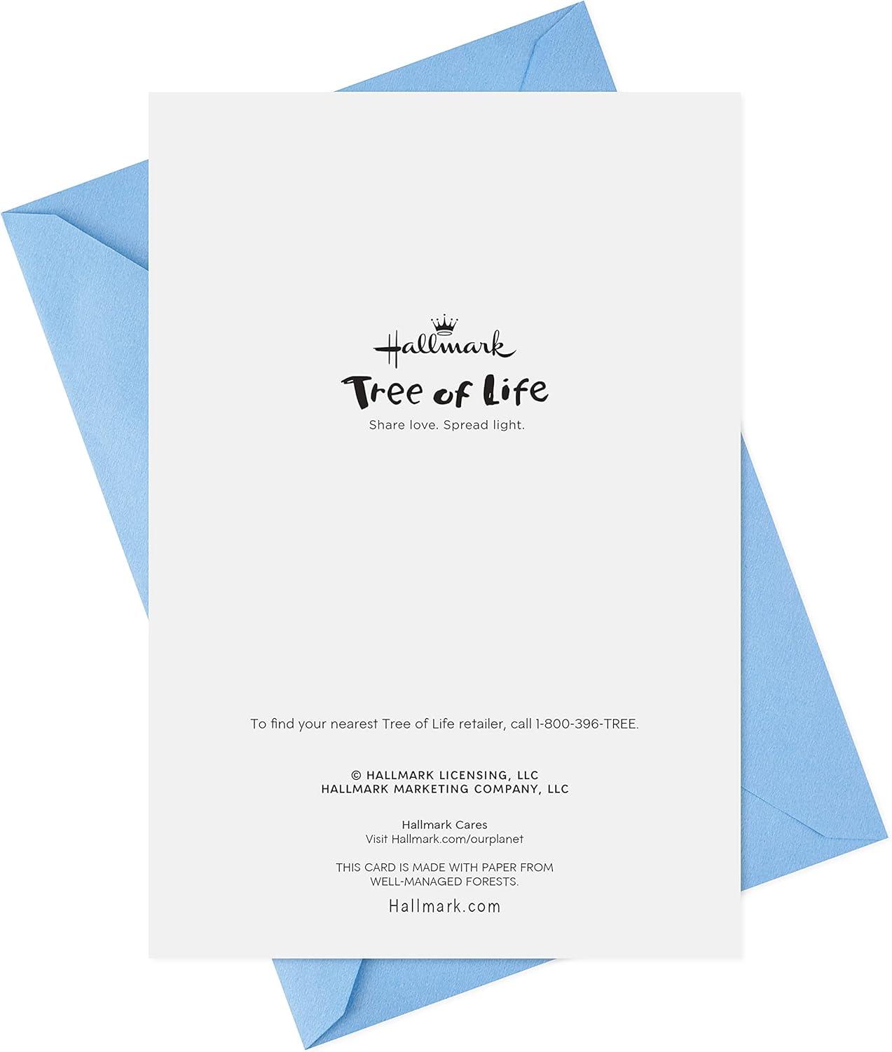 imageHallmark Tree of Life Hanukkah Cards Latkes and Lights 6 Cards with EnvelopesLatkes and Lights 6 Cards with Envelopes