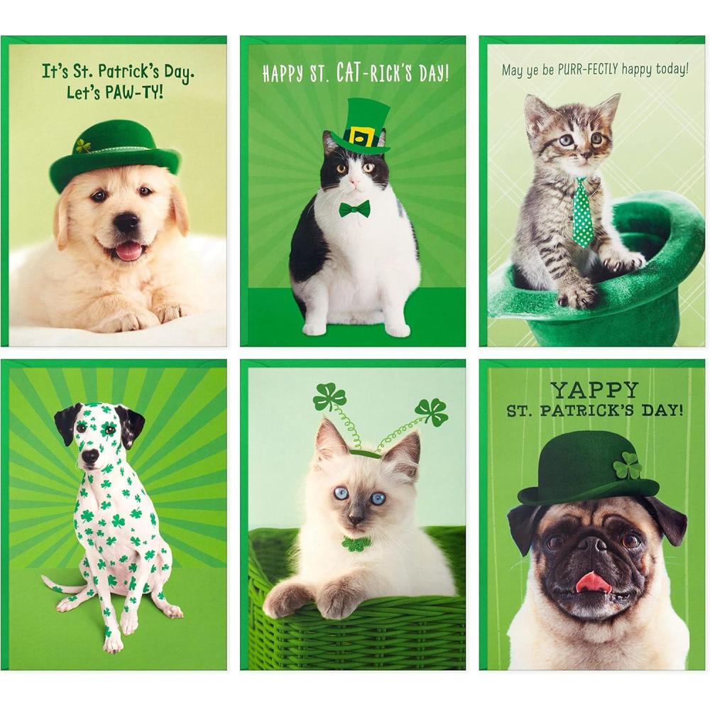 imageHallmark Halloween Cards Assortment Pet Puns 48 Cards with EnvelopesSt Patricks Day Punny Pets Card Assortment