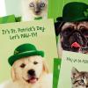 Hallmark Halloween Cards Assortment, Pet Puns (48 Cards with Envelopes)(St. Patrick’s Day Punny Pets Card Assortment)