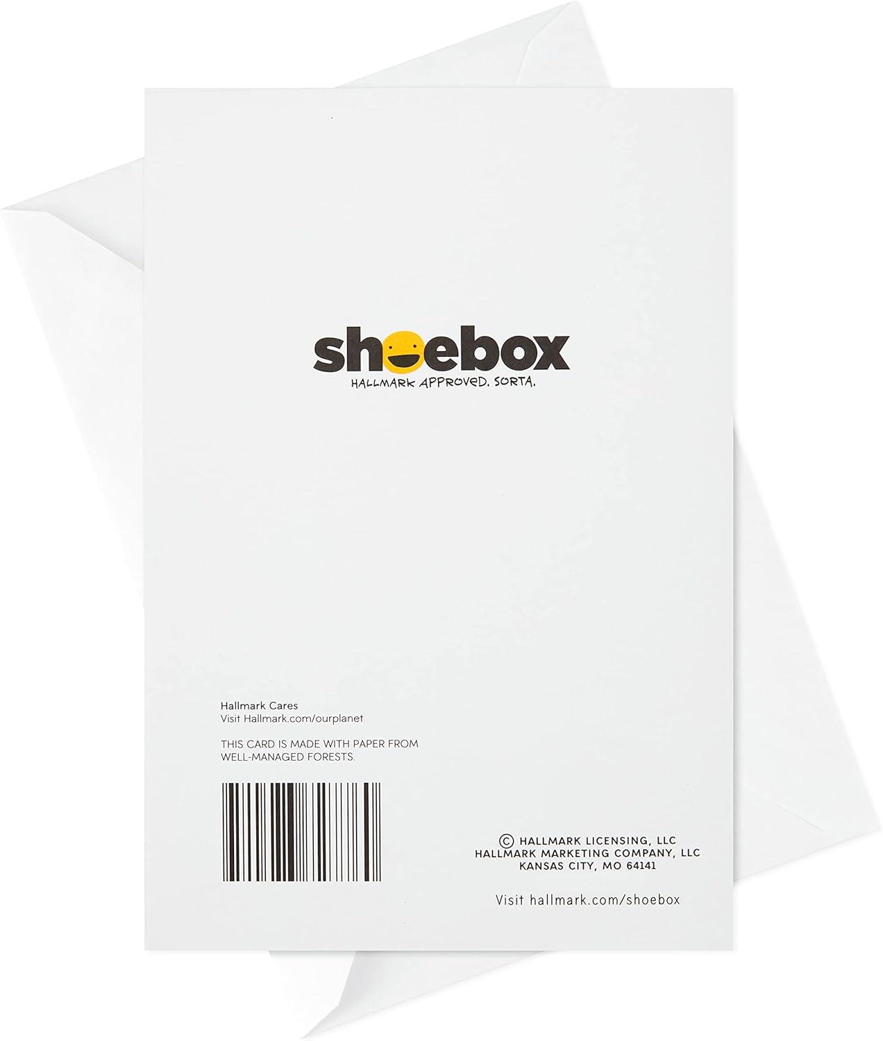 imageHallmark Shoebox Funny Birthday Card Too Old for TikTokCats Dont Care Dont Think Too Hard