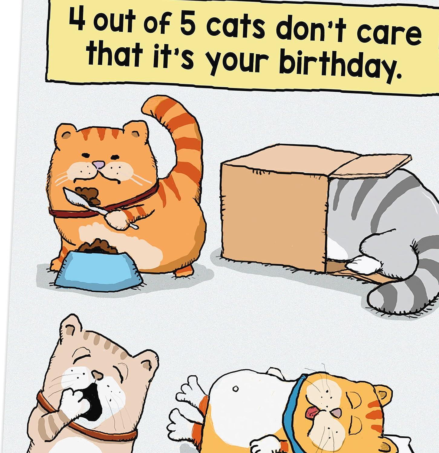 imageHallmark Shoebox Funny Birthday Card Too Old for TikTokCats Dont Care Dont Think Too Hard