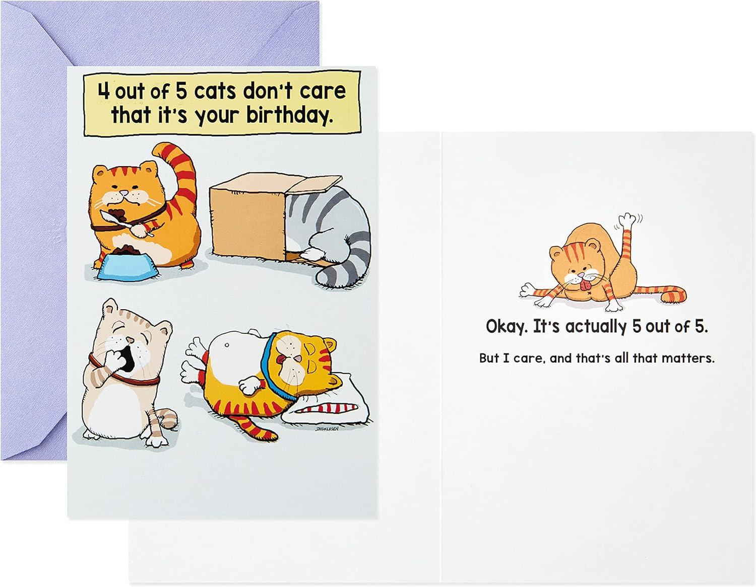 imageHallmark Shoebox Funny Birthday Card Too Old for TikTokCats Dont Care Dont Think Too Hard