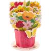 Hallmark Pop Up Mothers Day Card or Birthday Card for Women, Her, Grandma, Sister, Daughter, Friend (Flower Bouquet)(Pop Up  Displayable Bouquet)