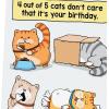 Hallmark Shoebox Funny Birthday Card (Too Old for TikTok)(Cats Don’t Care  Don’t Think Too Hard)