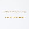 Hallmark Signature Birthday Card for Women (Perfect Birthday)(Bookshelf)