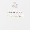 Hallmark Signature Birthday Card for Women (Perfect Birthday)(So Lovely)