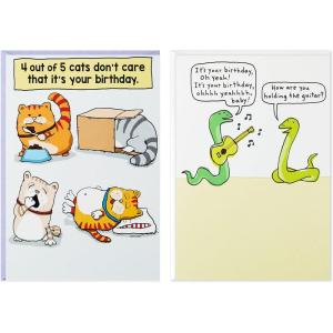 Hallmark Shoebox Funny Birthday Card (Too Old for TikTok)(Cats Don’t Care  Don’t Think Too Hard)