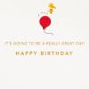 Hallmark Signature Peanuts Birthday Card (Charlie Brown and Friends)(Charlie Brown and Friends)