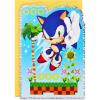 Hallmark SEGA Sonic the Hedgehog Birthday Card for Kids, Teens, Video Gamers