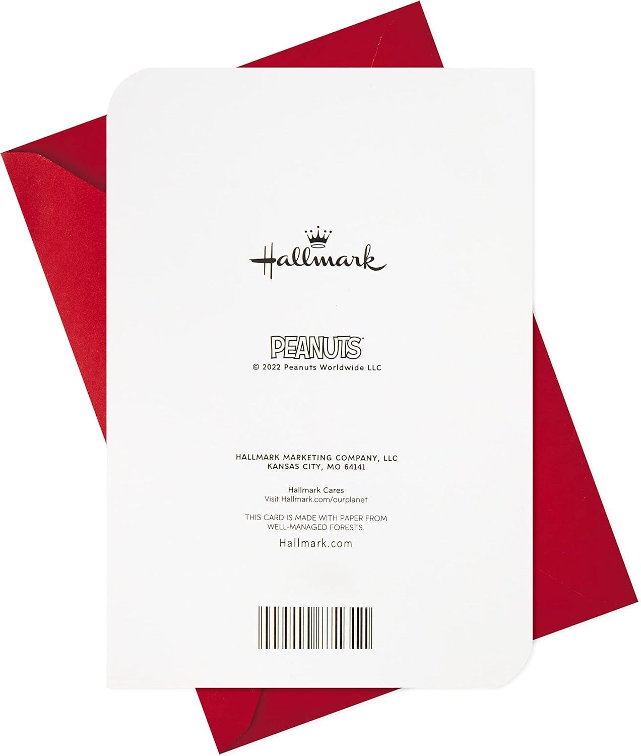 imageHallmark Valentines Day Cards Assortment Puppy and Kitten 6 Valentines Day Cards with EnvelopesPeanuts Card Assortment