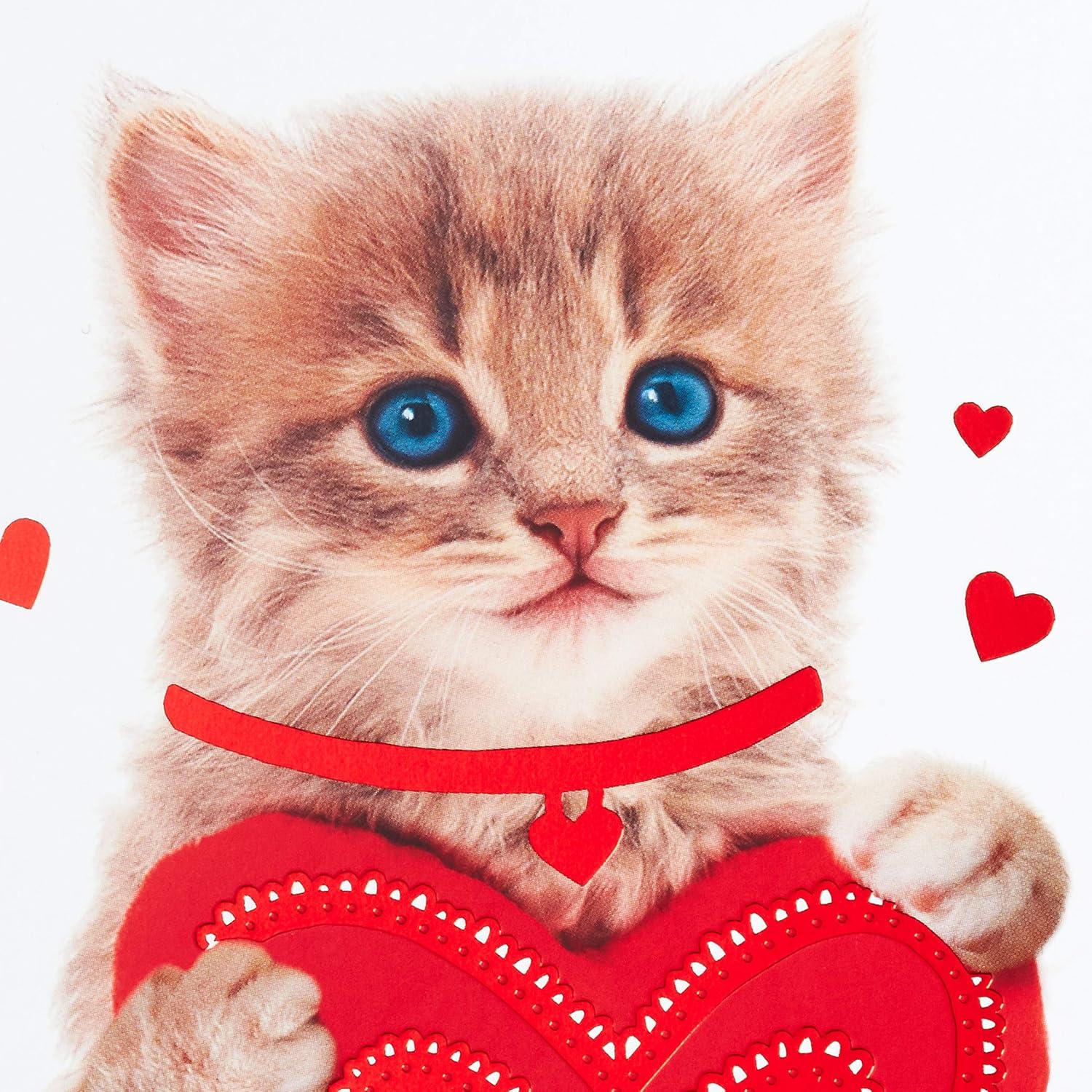 imageHallmark Valentines Day Cards Assortment Puppy and Kitten 6 Valentines Day Cards with EnvelopesPuppy and Kitten