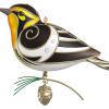 Hallmark Keepsake Christmas Ornament 2024, The Beauty of Birds Violet-Green Swallow, Gift for Her(Blackburnian Warbler)