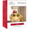 Hallmark Friends Turkey in Fez and Sunglasses Christmas Ornament, Resin