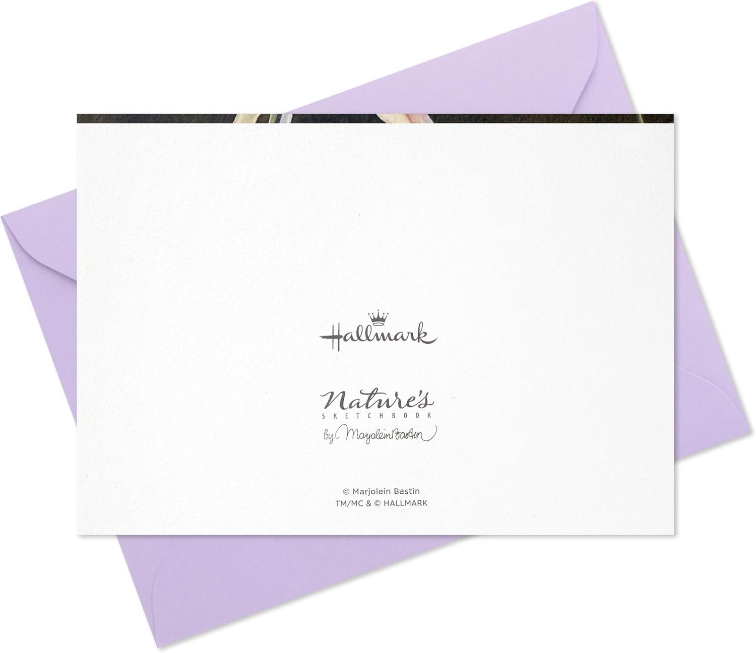 imageHallmark Marjolein Bastin Note Cards with Sticker Seals for Mothers Day 10 Blank Cards with Envelopes 10 Sticker Seals Flowers Hummingbird and Butterfly