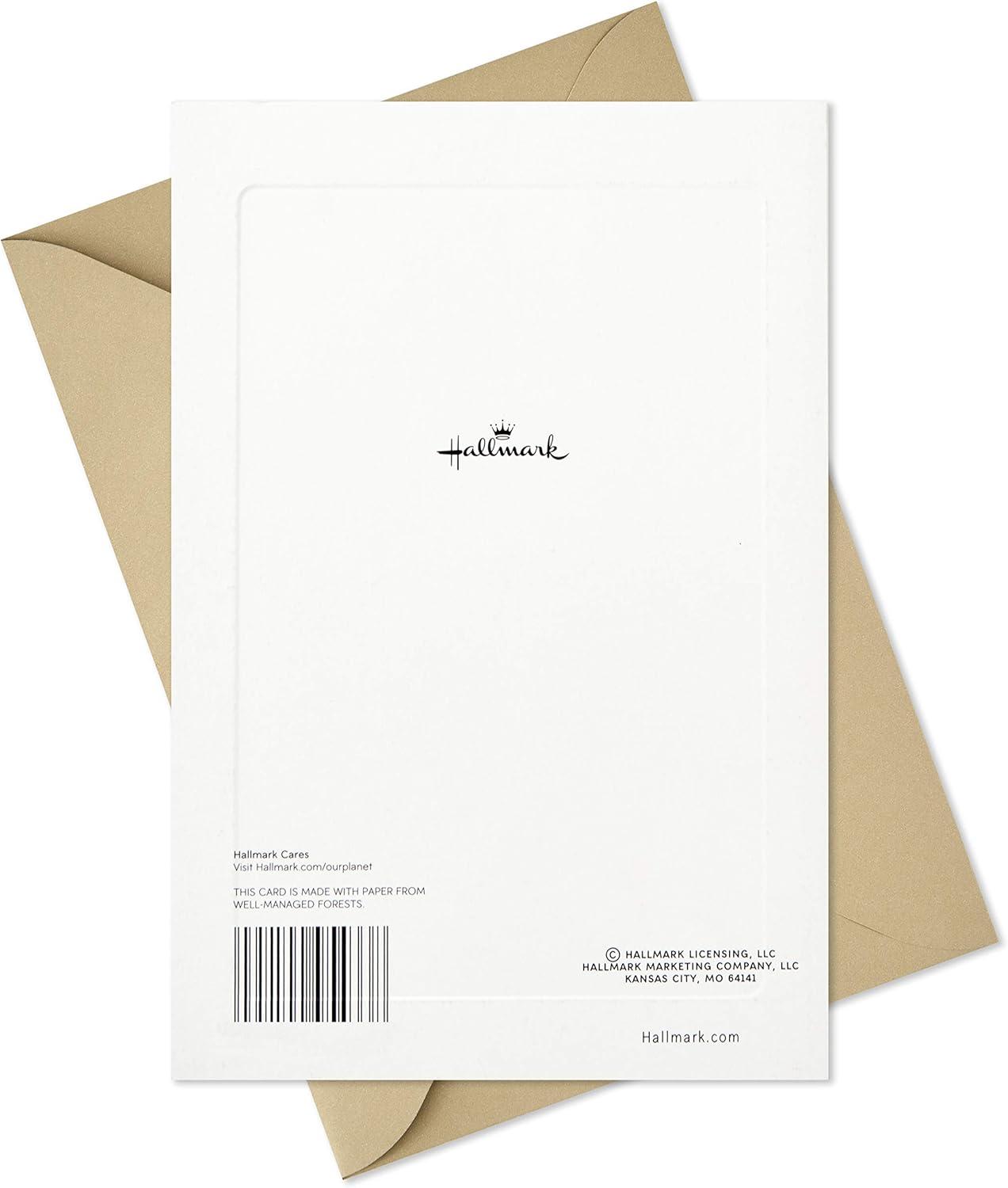 imageHallmark Fathers Day Card Its Fathers Day 559FFW2149Its Fathers Day