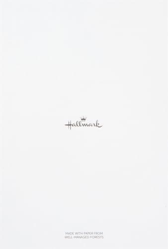 imageHallmark Assorted Birthday Cards Birthday Icons 12 Cards and EnvelopesAssorted colors