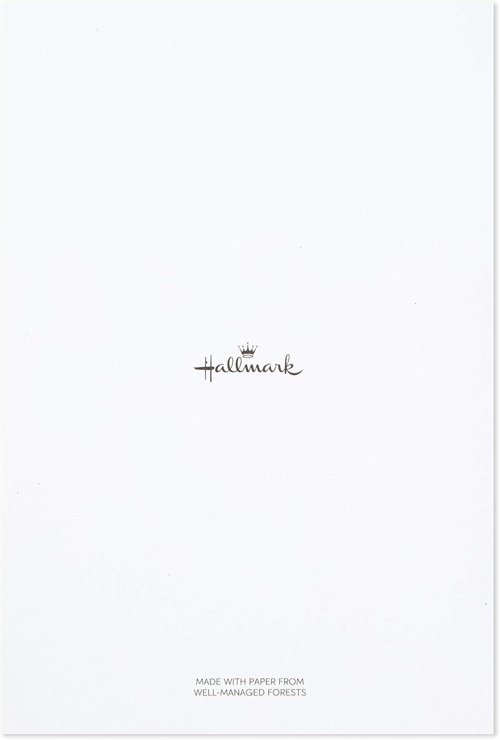 imageHallmark Assorted Birthday Cards Birthday Icons 12 Cards and EnvelopesAssorted colors