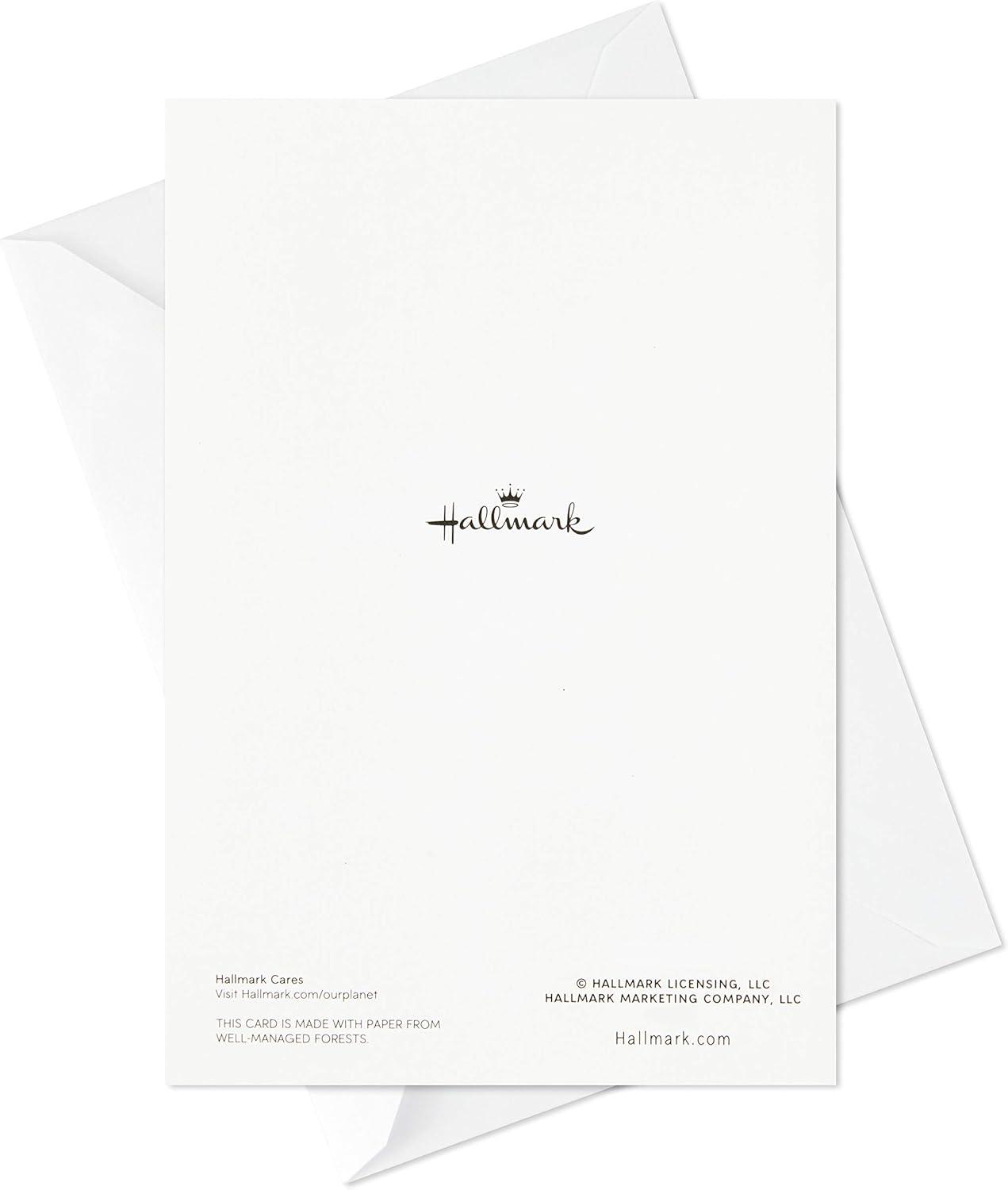 imageHallmark Birthday Cards Assortment 20 Cards with Envelopes Refill Pack for Hallmark Card Organizer BoxCards Assortment