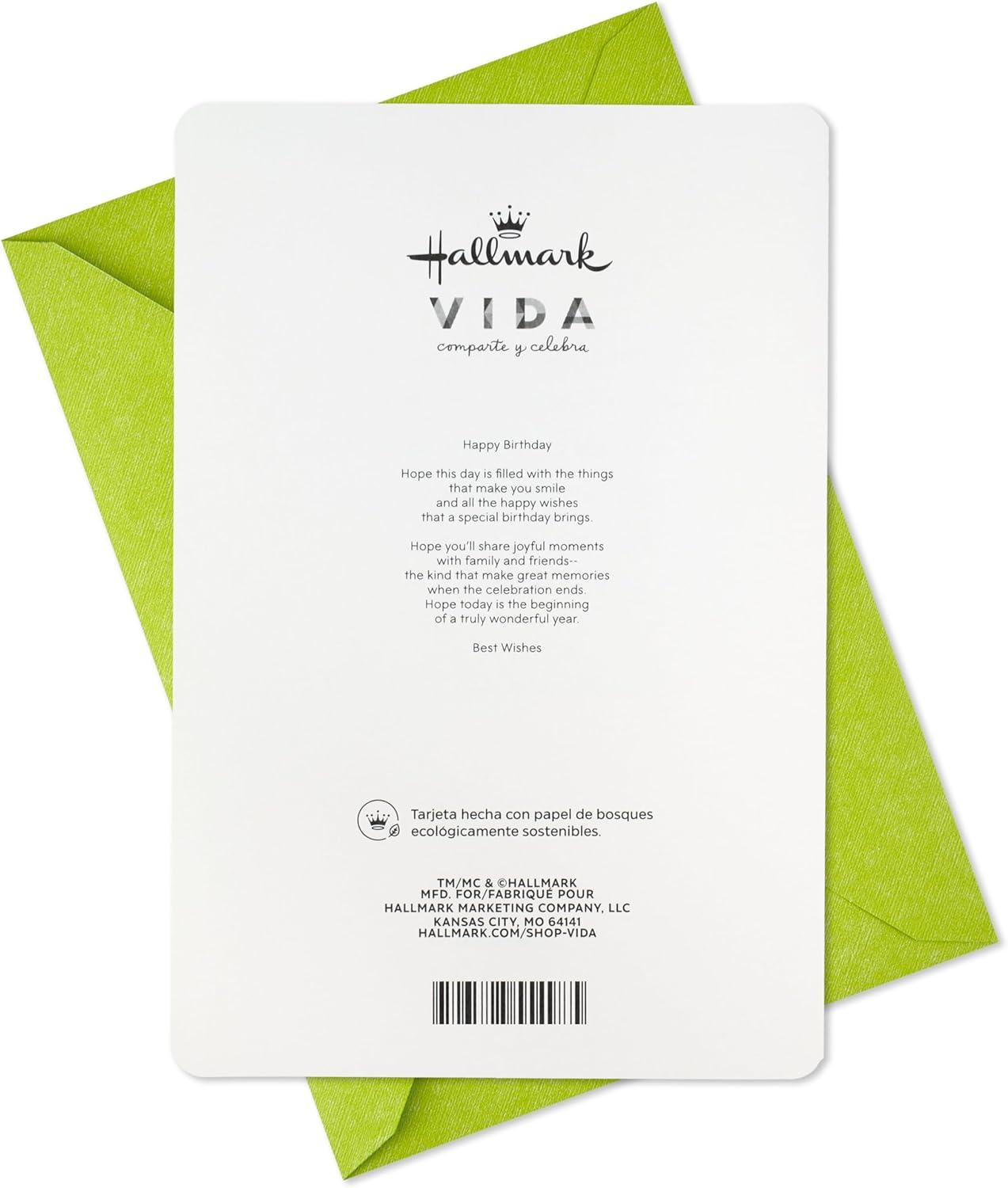 imageHallmark Vida Spanish Birthday Card Feliz Cumpleaos for Friend Coworker Parent NeighborFeliz Cumpleaos