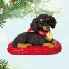 Hallmark Keepsake Christmas Ornament 2024, Puppy Love Poodle 2024, Gifts for Animal Lovers(2025 Puppy Love Dachshund)