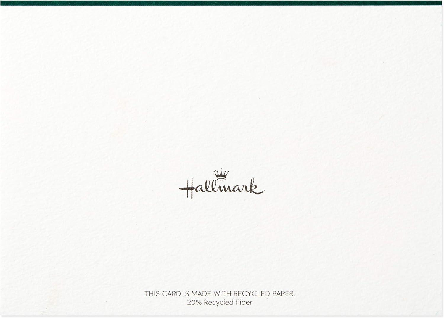 imageHallmark Blank Cards Boxed Christmas Cards Assortment Christmas Lights ampamp Presents 24 Cards and EnvelopesClassic Holiday Icons Blank Note Assortment