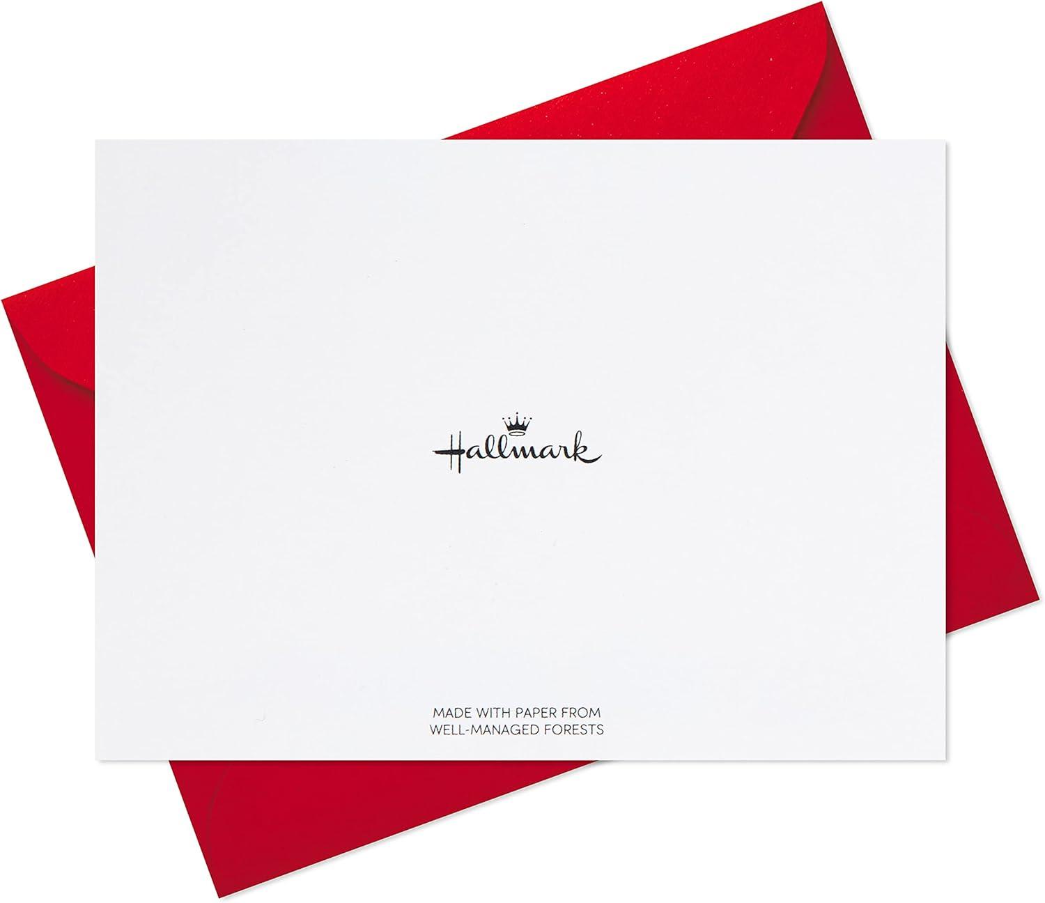 imageHallmark Blank Cards Boxed Christmas Cards Assortment Christmas Lights ampamp Presents 24 Cards and EnvelopesHoliday Icons Blank Note Assortment