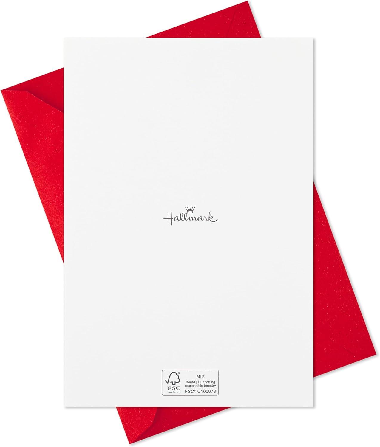imageHallmark Boxed Christmas Cards Delivering Joy 40 Cards and 40 Envelopes Red Front Door
