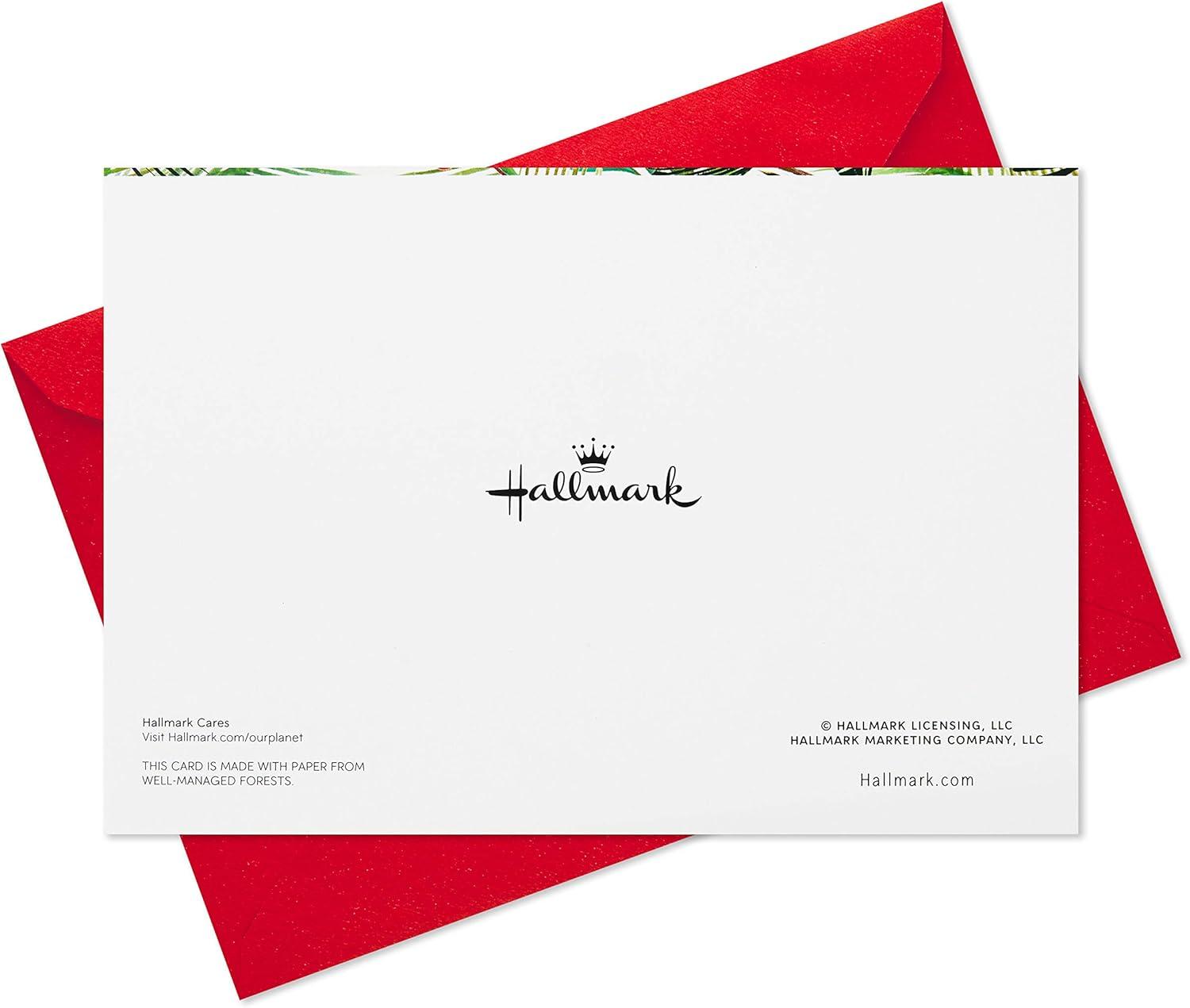 imageHallmark Boxed Holiday Cards Festive Greenery 40 Cards and Envelopes40 Cards Happy Holidays