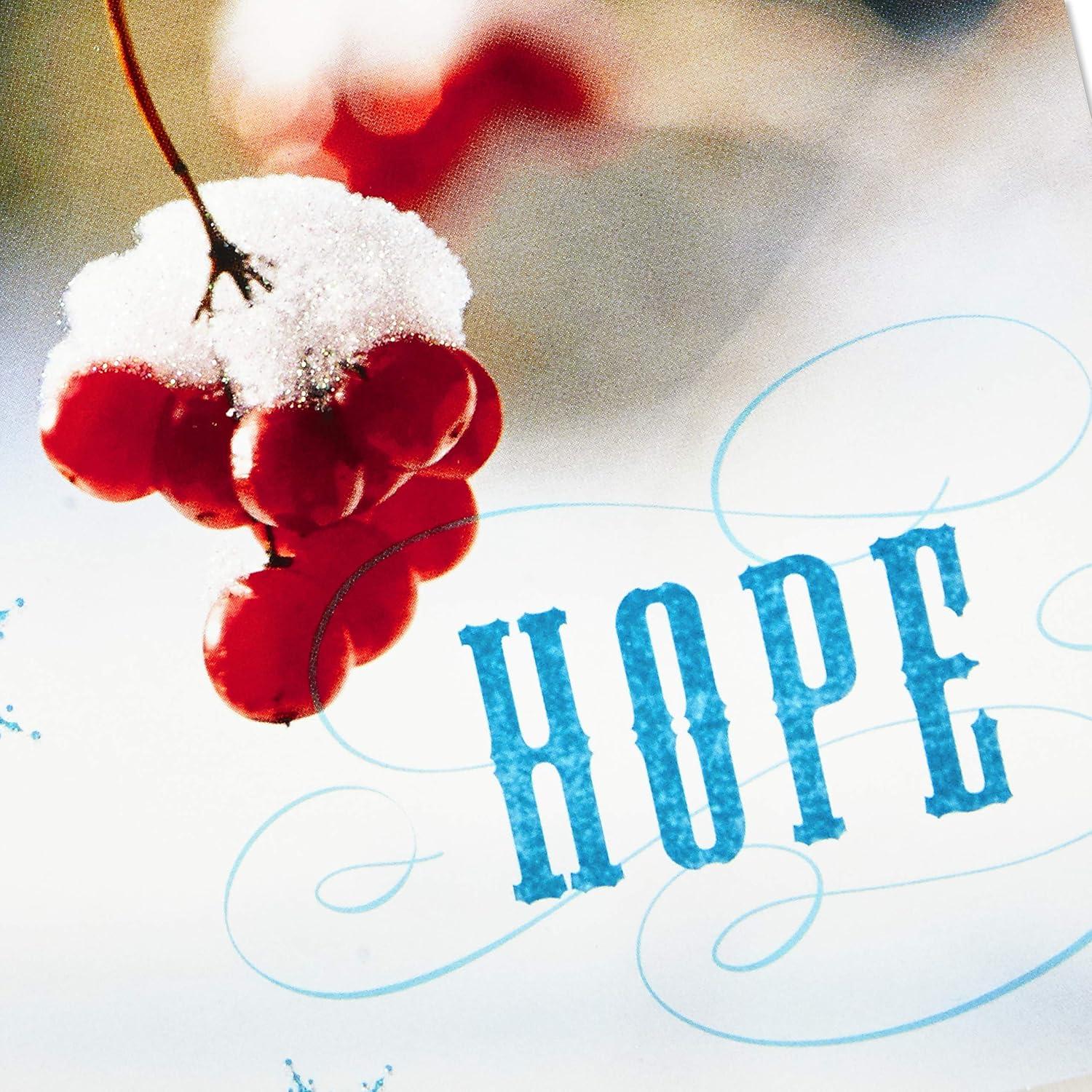 imageHallmark Image Arts Boxed Christmas Cards Assortment Seasonal Photos 4 Designs 24 Cards and Envelopes