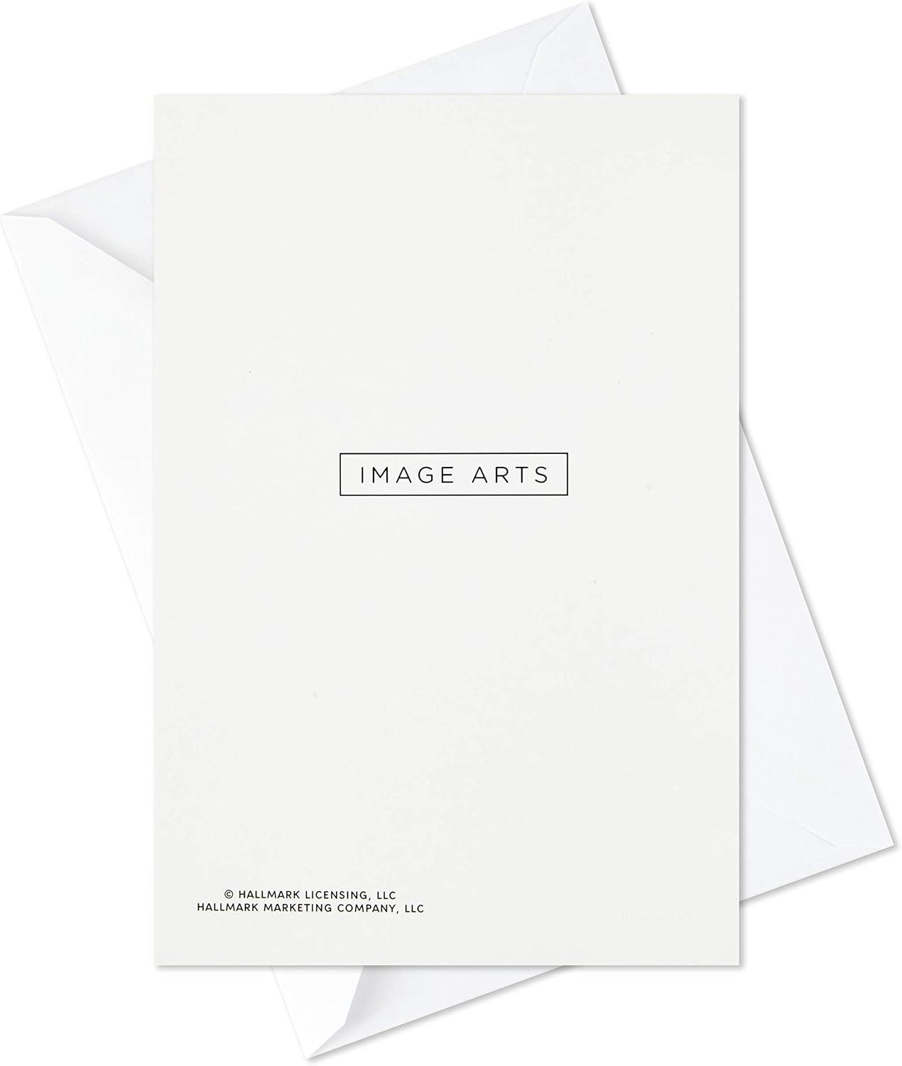 imageHallmark Image Arts Boxed Christmas Cards Assortment Seasonal Photos 4 Designs 24 Cards and Envelopes