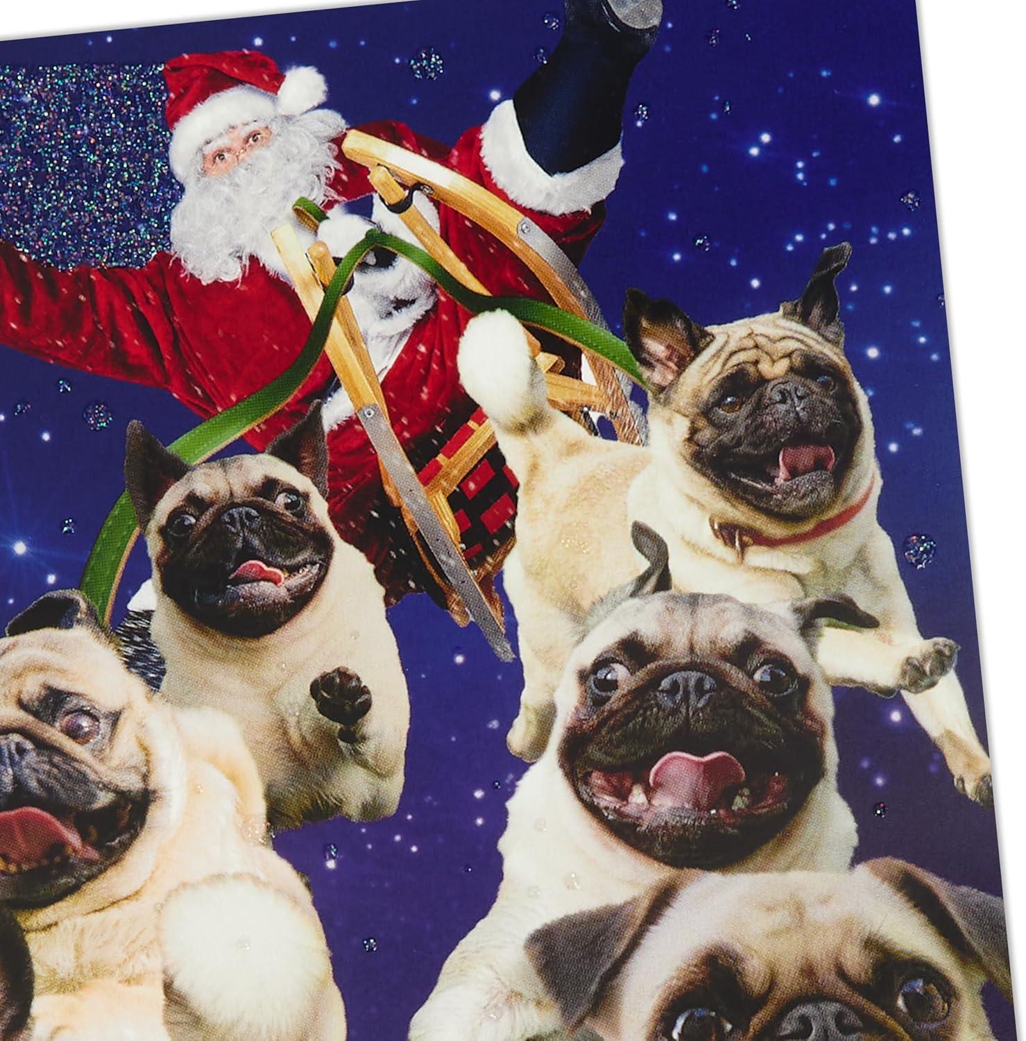 imageHallmark Musical Christmas Card for Family Santa and Flying Pugs