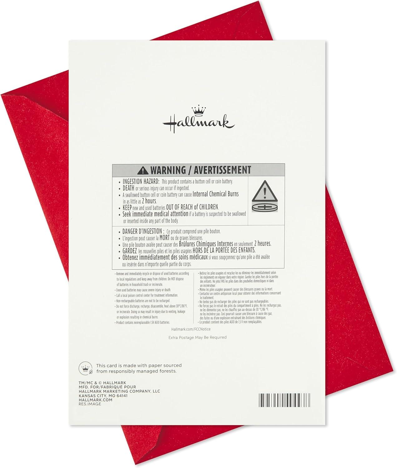 imageHallmark Musical Christmas Card for Family Santa and Flying Pugs