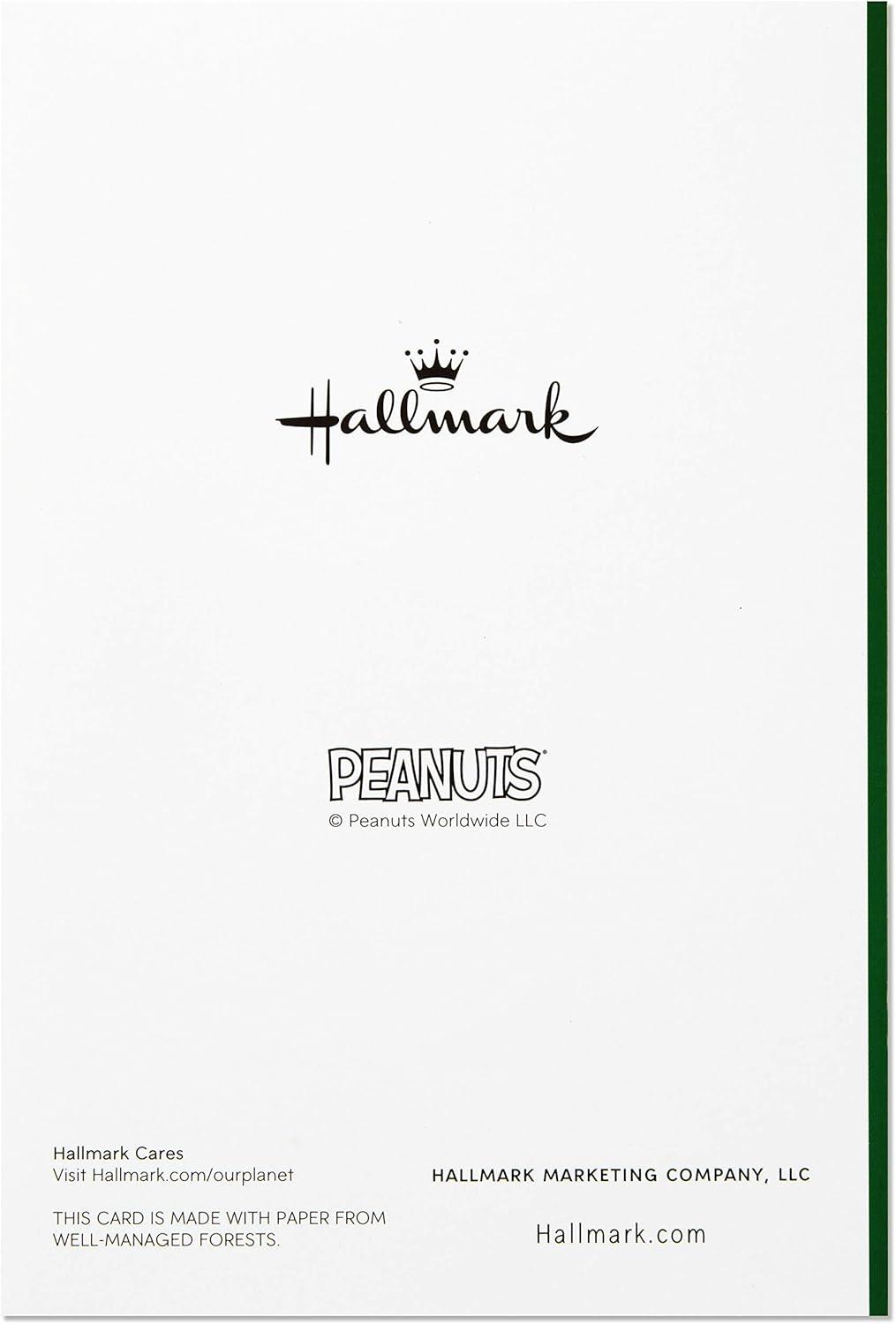 imageHallmark Peanuts Christmas Cards Assortment Snoopy and Woodstock 6 Cards with Envelopes 2 Designs6 cards 6 envelopes Snoopy and Woodstock