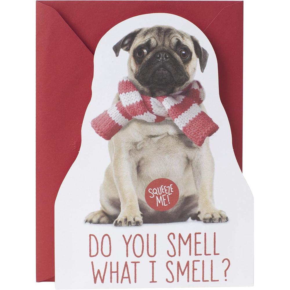imageHallmark Musical Christmas Card Dogs We Wish You a Merry ChristmasFarting Pug