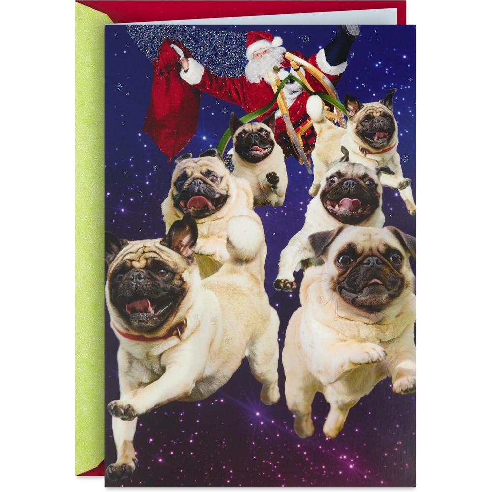 imageHallmark Musical Christmas Card for Family Santa and Flying Pugs