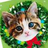 Hallmark Musical Christmas Card (Cats, O Christmas Tree)