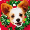 Hallmark Musical Christmas Card (Dogs, We Wish You a Merry Christmas)(Dog Barking “We Wish You a Merry Christmas”)