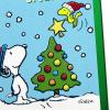 Hallmark Peanuts Christmas Cards Assortment, Snoopy and Woodstock (6 Cards with Envelopes, 2 Designs)(6 cards  6 envelopes Snoopy and Woodstock)