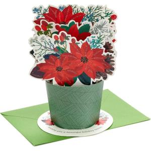 Hallmark Paper Wonder Pop Up Christmas Card with Sound and Motion (Spinning Santa in Sleigh)(Poinsettia Bouquet)