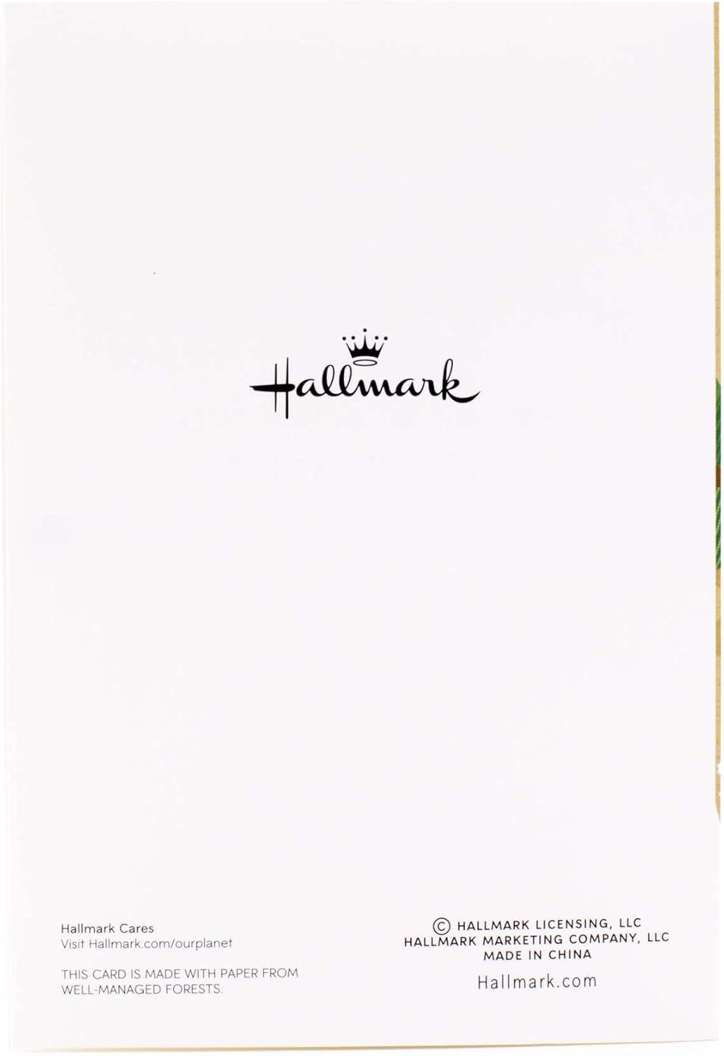 imageHallmark Boxed Christmas Cards Moments of Peace 16 Cards and 17 EnvelopesJolly Snowman Holiday Cards