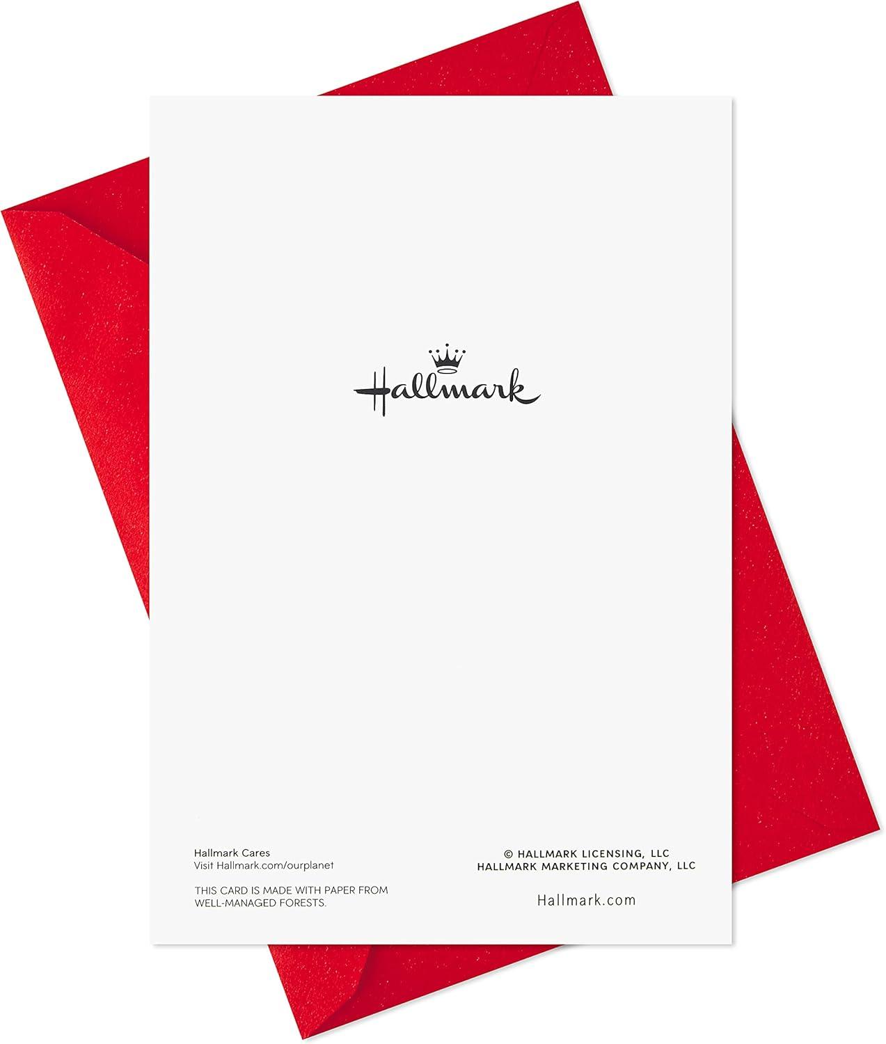 imageHallmark Boxed Holiday Card Assortment 12 Cards and 12 Envelopes Let It Snow Snowman Gingerbread House Hot Cocoa Joy WreathFestive Foil