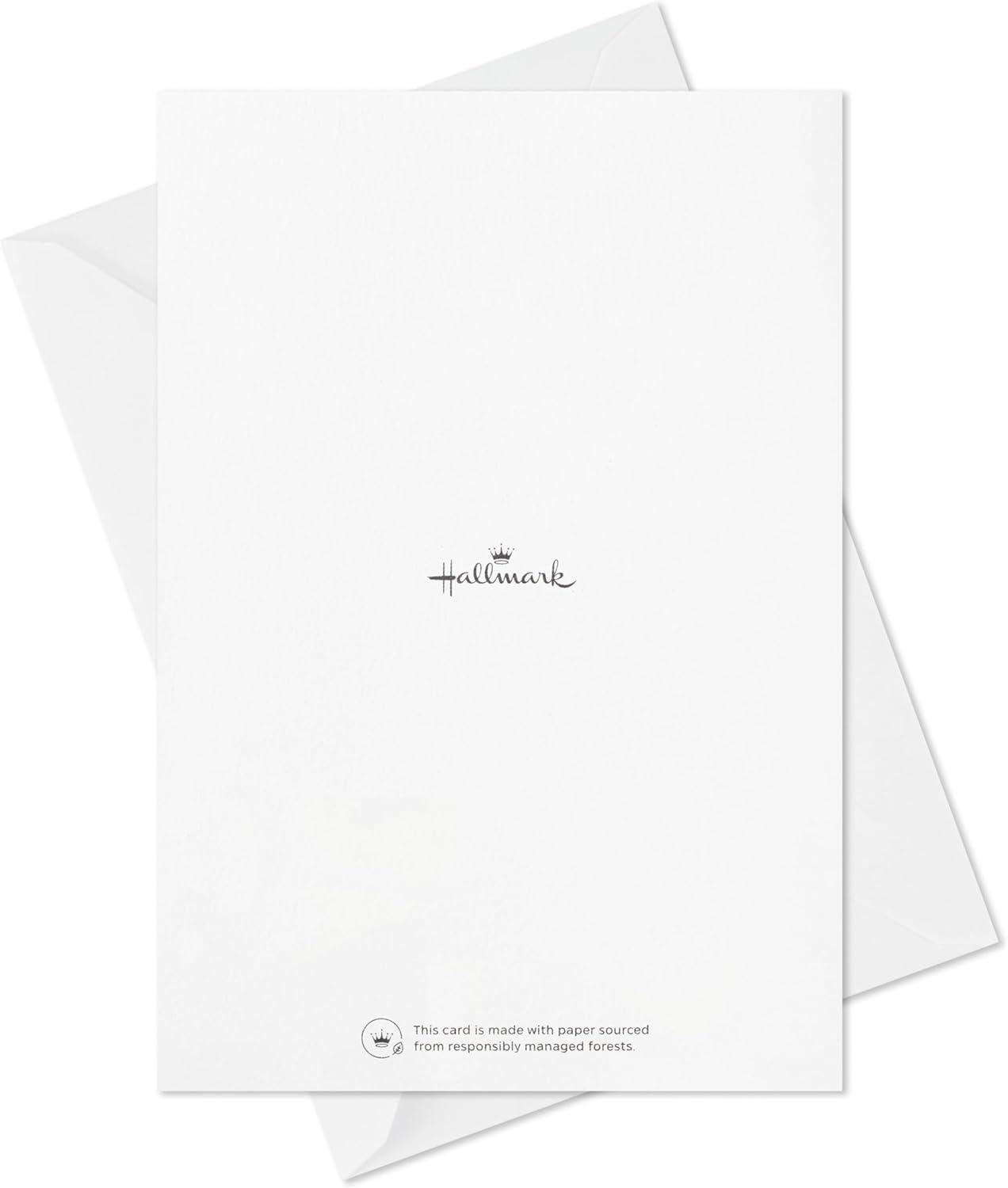 imageHallmark Boxed Holiday Card Assortment 12 Cards and 12 Envelopes Let It Snow Snowman Gingerbread House Hot Cocoa Joy WreathSnowman Wreath Gingerbread