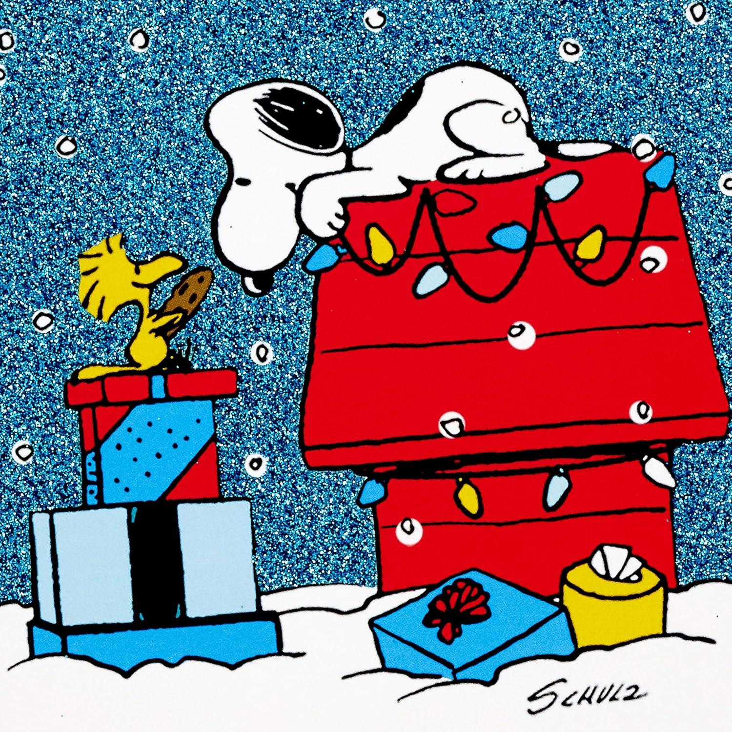 imageHallmark Peanuts Boxed Christmas Cards Assortment Classic Comics 4 Designs 16 Cards and EnvelopesPeanuts Assortment