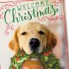 Hallmark Christmas Cards Pack, Puppy with Wreath (10 Cards with Envelopes)(Puppy with Wreath  10 Cards with Envelopes)